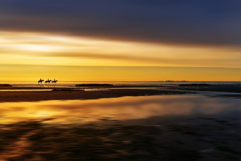 Horseback Riding